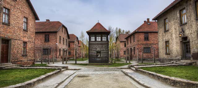 Escursione privata ad Auschwitz e alle Miniere di Sale