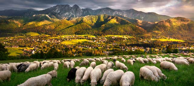 Excursão a Zakopane e às termas de Chochołów