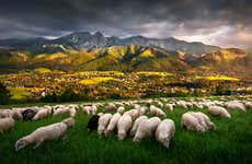 Excursión a Zakopane y los baños termales de Chochołów
