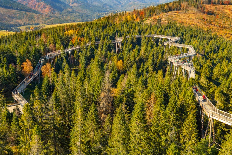 Aerial view of Treetop Walk Bachledka 