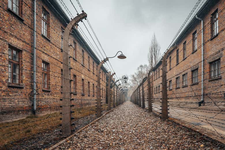 Remember the past as you explore the barbed wire fences