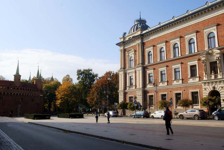 Academia de Bellas Artes