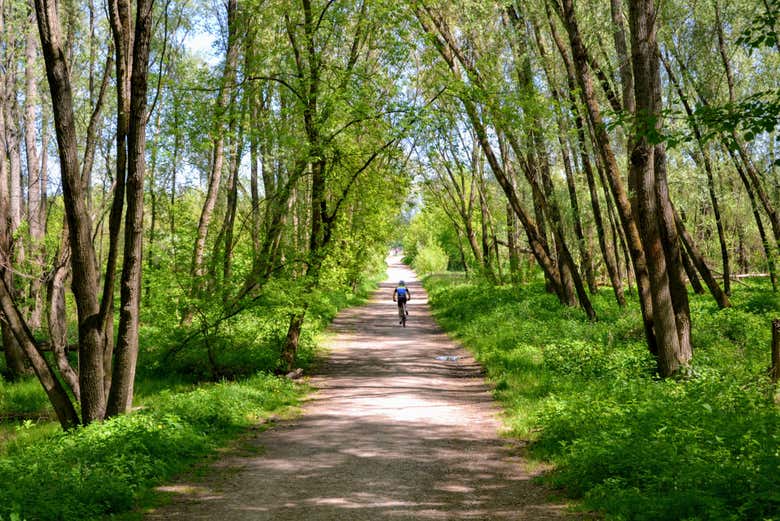 Percorrendo os arredores de Cracóvia de bicicleta