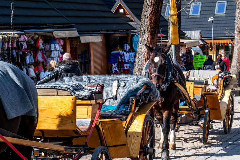 Caballos en las calles de Zakopane