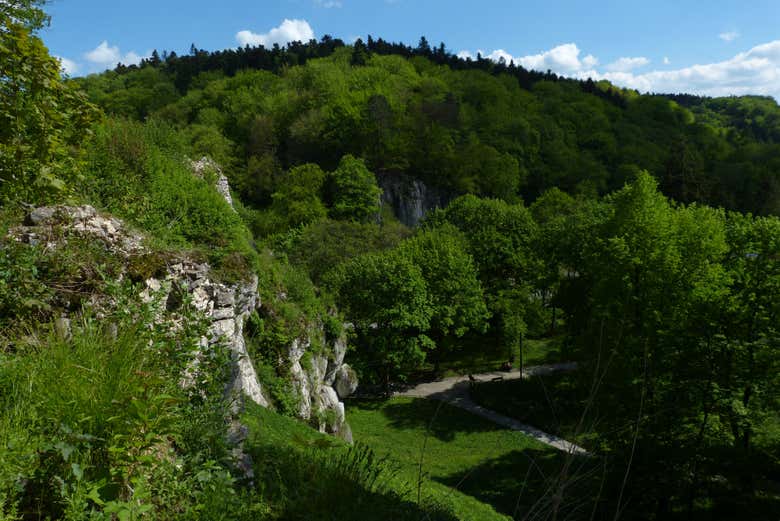 Montagnes et végétation du Parc national d'Ojców