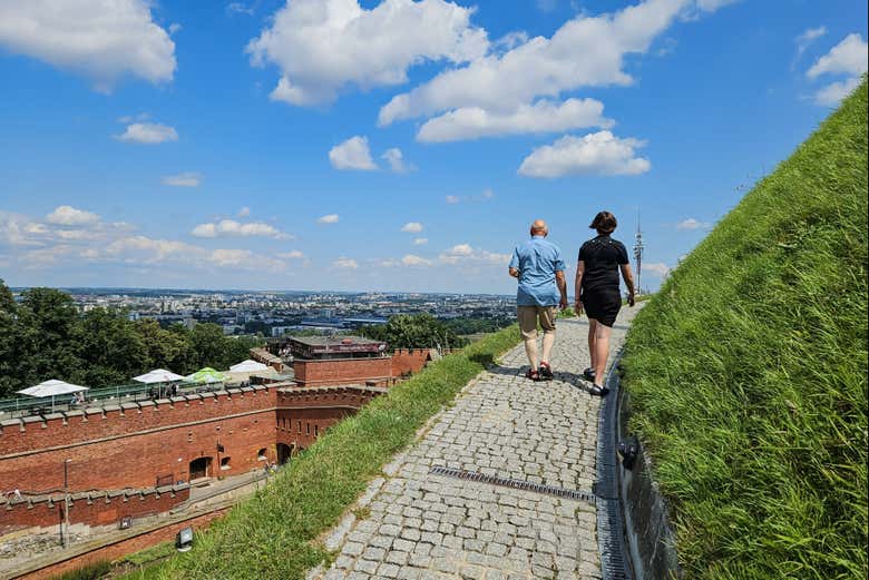 Salendo fino alla cima