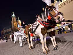 Carrozza nella Piazza del Mercato