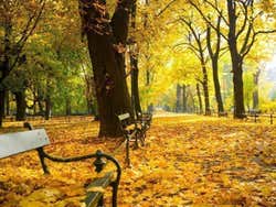 Cracovia in autunno