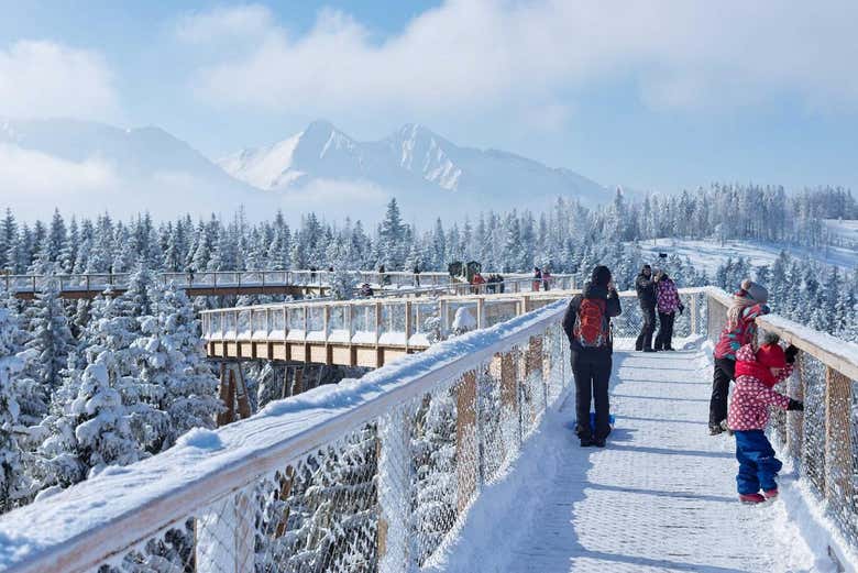Treetop Walk Bachledka in winter