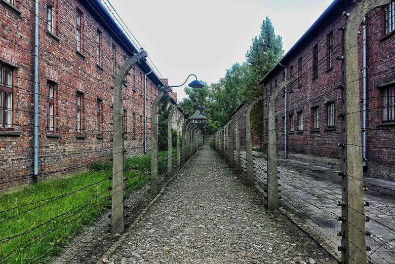 Recorriendo Auschwitz