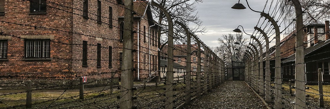 Camp de concentration d'Auschwitz-Birkenau