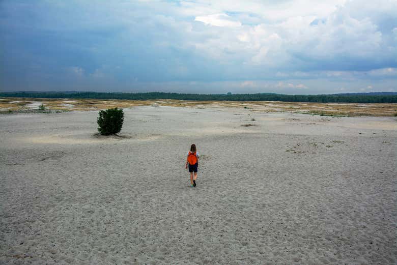 Deserto di Błędów