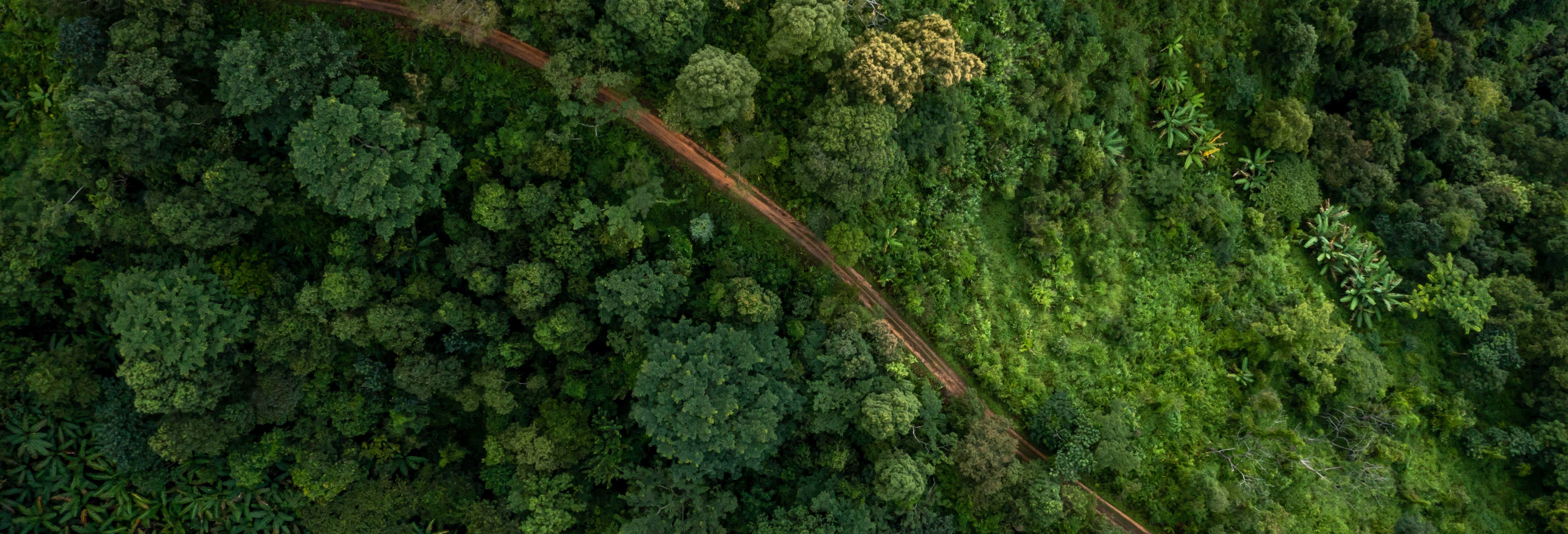 Visitas guiadas y free tours en Poznan