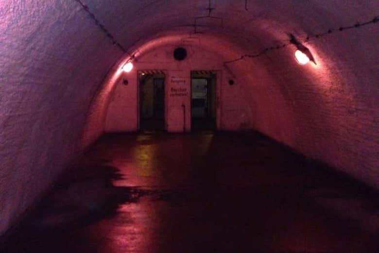 Explorando el refugio