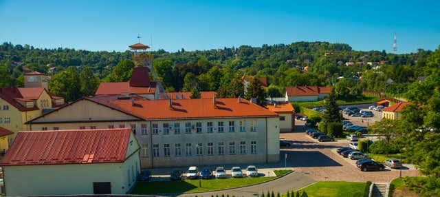 Excursión a Cracovia + Minas de sal de Wieliczka