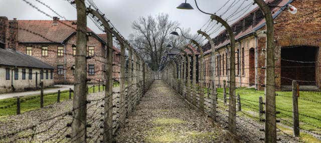 Excursión privada a Auschwitz-Birkenau