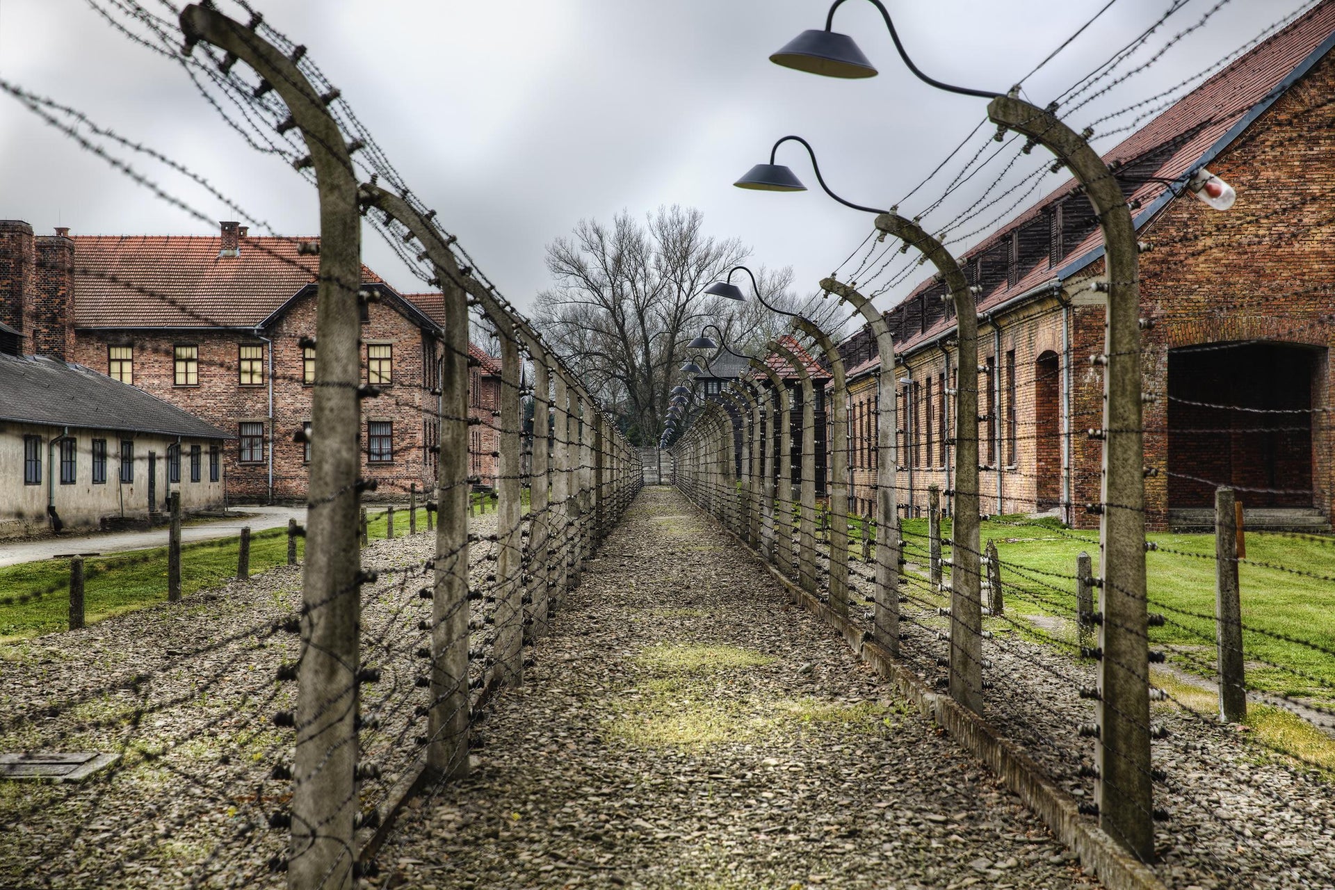 Excursion privée à Auschwitz-Birkenau