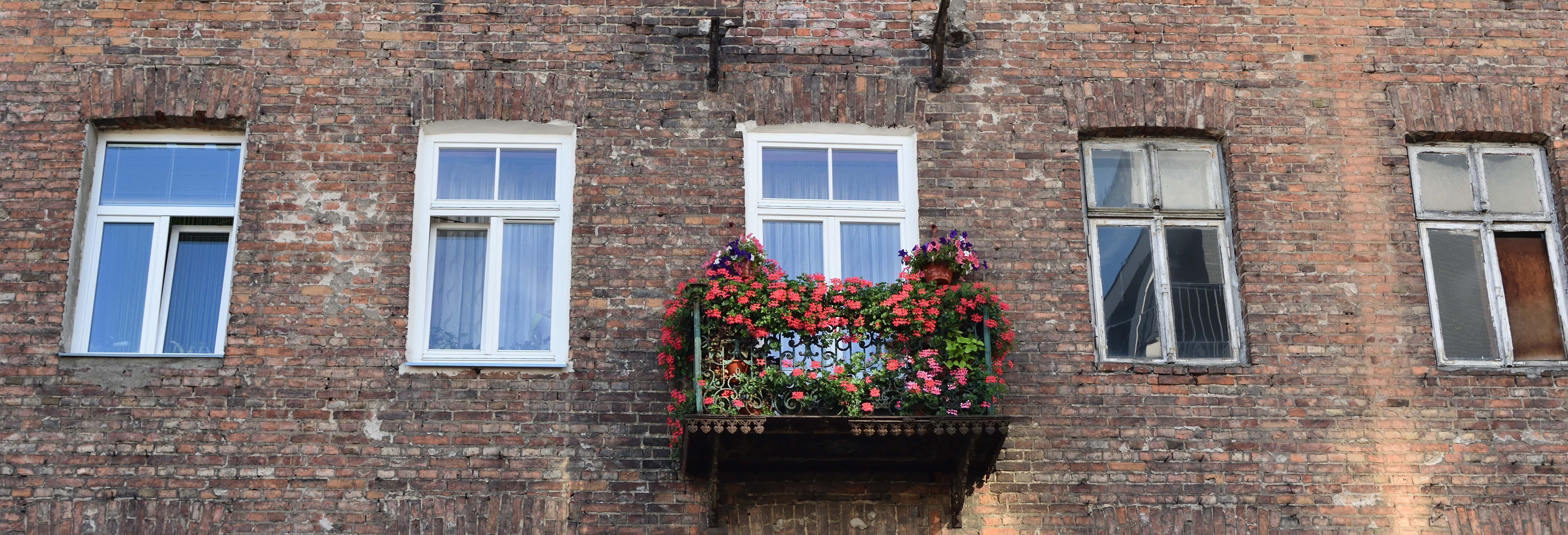 Visitas guiadas y free tours en Varsovia