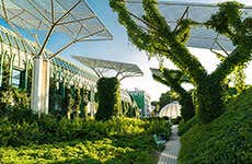 Jardines de la Universidad