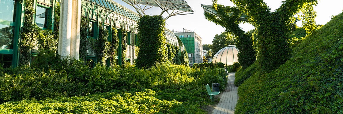 Jardines de la Universidad de Varsovia