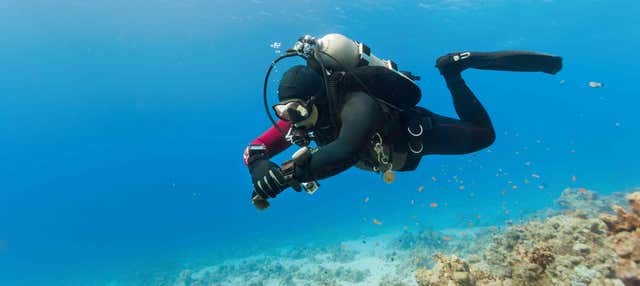 Bautismo de buceo en Albufeira