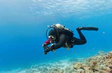 Bautismo de buceo en Albufeira