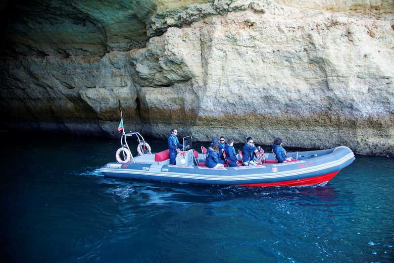 En busca de delfines 