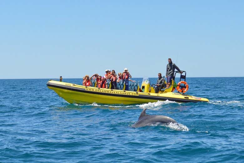 Avistando um golfinho durante o passeio de lancha