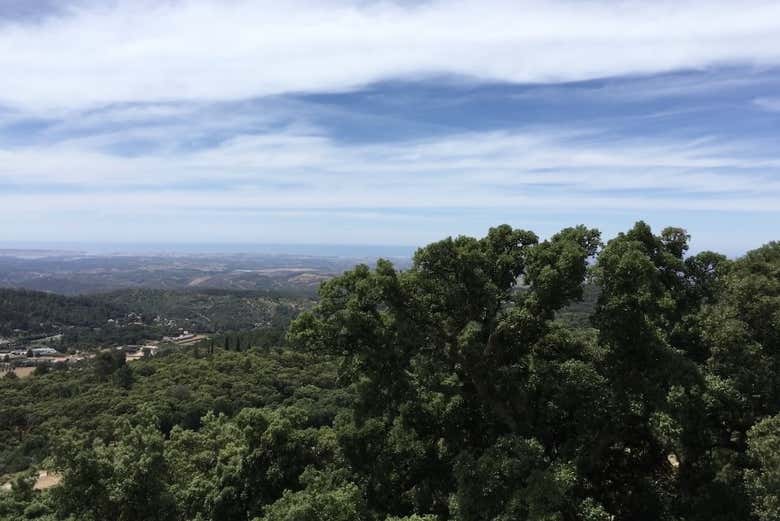 Enjoying the natural settings of the Algarve