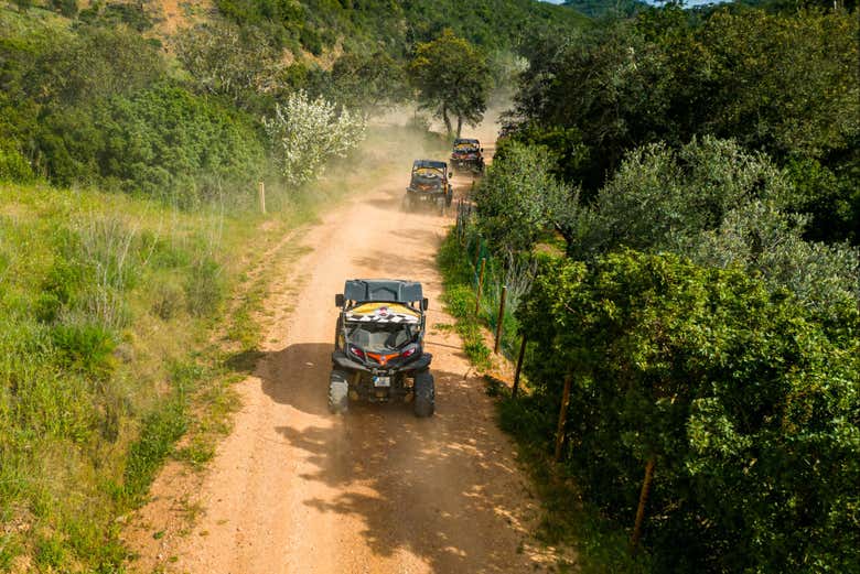 Atravessando uma caminho rural