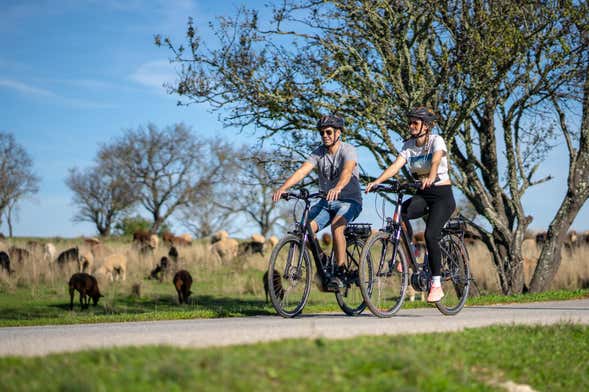 Visite dans Albufeira en vélo électrique