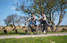 Tour di Albufeira in bici elettrica