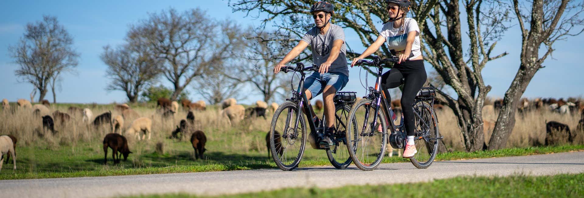 Visite guidate e free tour a Albufeira