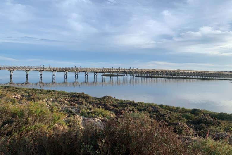 Ria Formosa