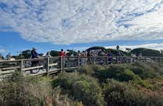 Tour de bicicleta pela Ria Formosa