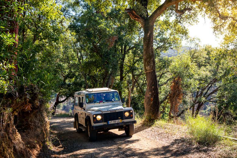 Exploring the Algarve on a 4x4