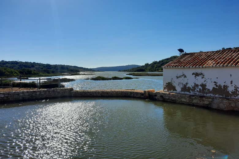 Contemplaremos uma bela paisagem