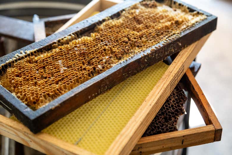 Honeycomb