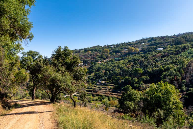 Natural landscapes of the Algarve