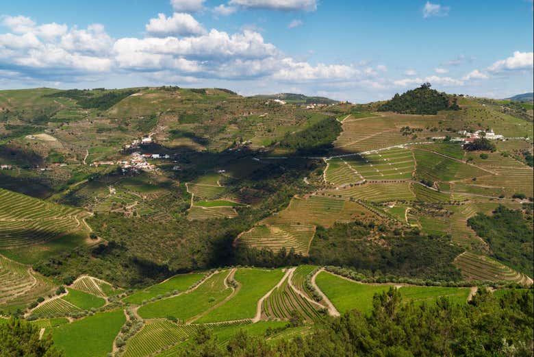 Admirando as paisagens da região do Douro