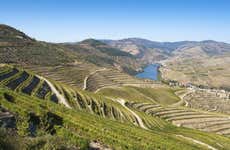 Excursion dans la région du Douro