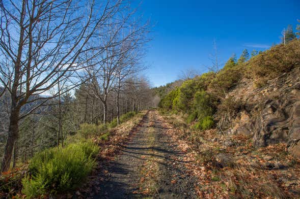 Tour en todoterreno por la Sierra de Marão