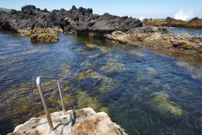 Piscine naturelle