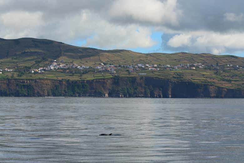 La côte de l'île de Terceira