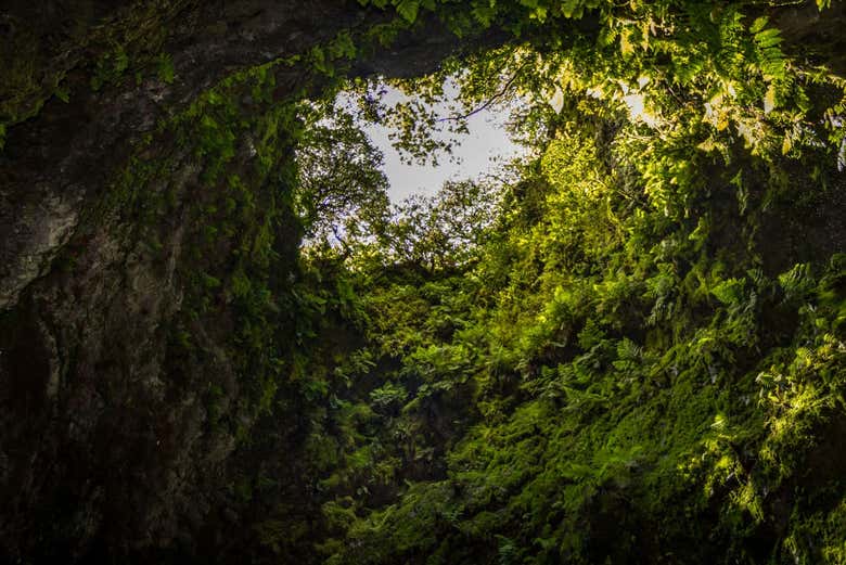 Algar do Carvão volcanic cave