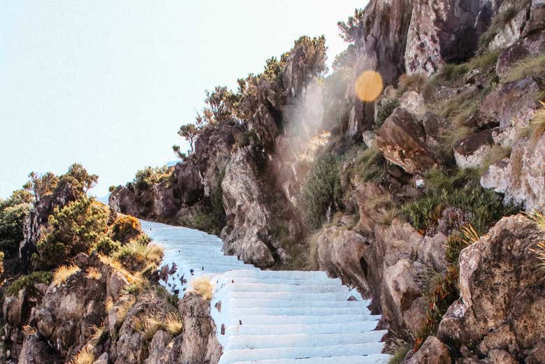 Escaliers dans la roche à Terceira