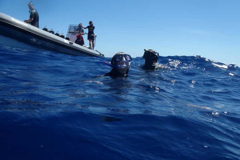 Alla scoperta della fauna marina