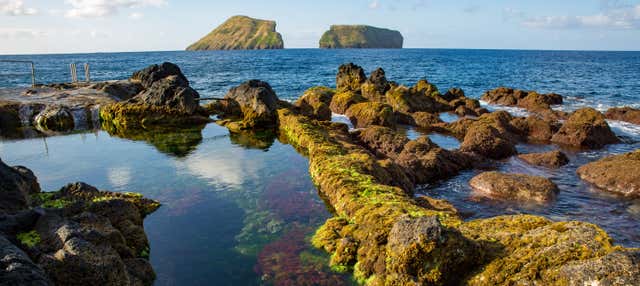 Tour por la costa este de Terceira