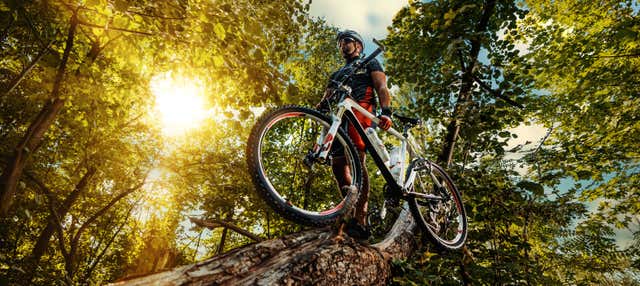 Location de vélo à Arcos de Valdevez