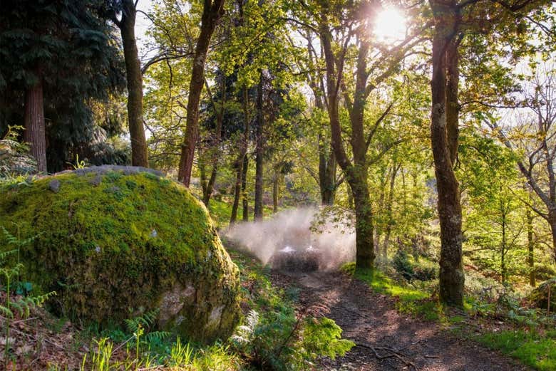 Recorriendo uno de los parajes boscosos de la zona